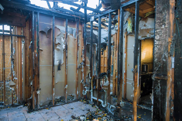 Professional Fire Damage Repair technician working in Highland, MD